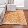 1pc Fluffy Imitation Wool Area Rug, Suede Fleece Bottom Long Imitation Wool Rug, Acrylic 80% Polyester 20%, 2.36inch Long Wool, Living Room Bedroom Ru